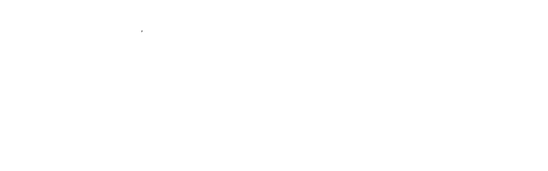 BIS Consultants